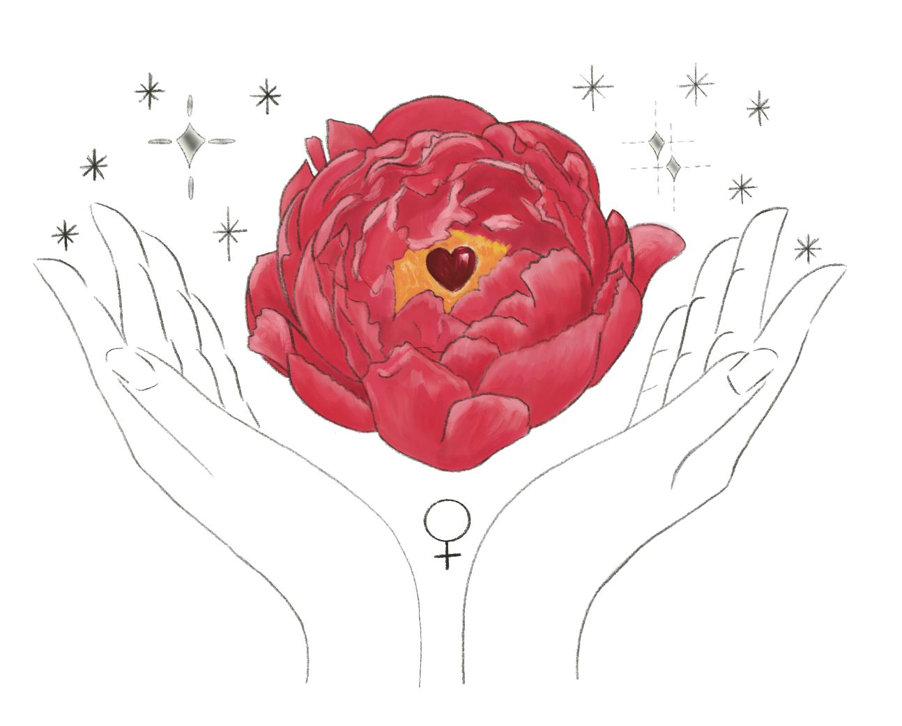 Pencil illustration of two open hands cradling a glowing crimson peony with a heart at its centre