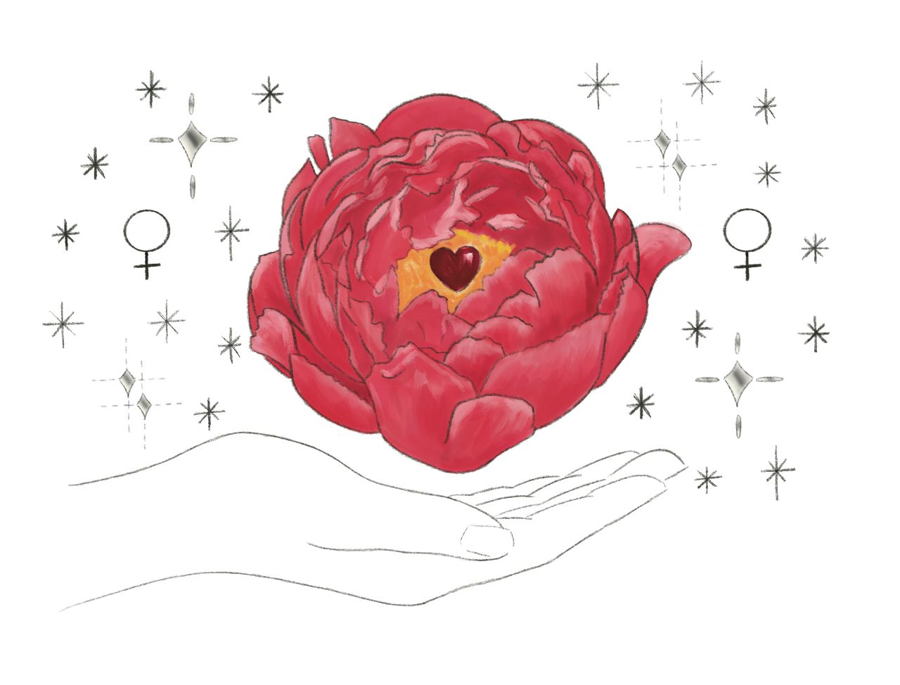 An open palm holding a crimson peony beneath drawn stars